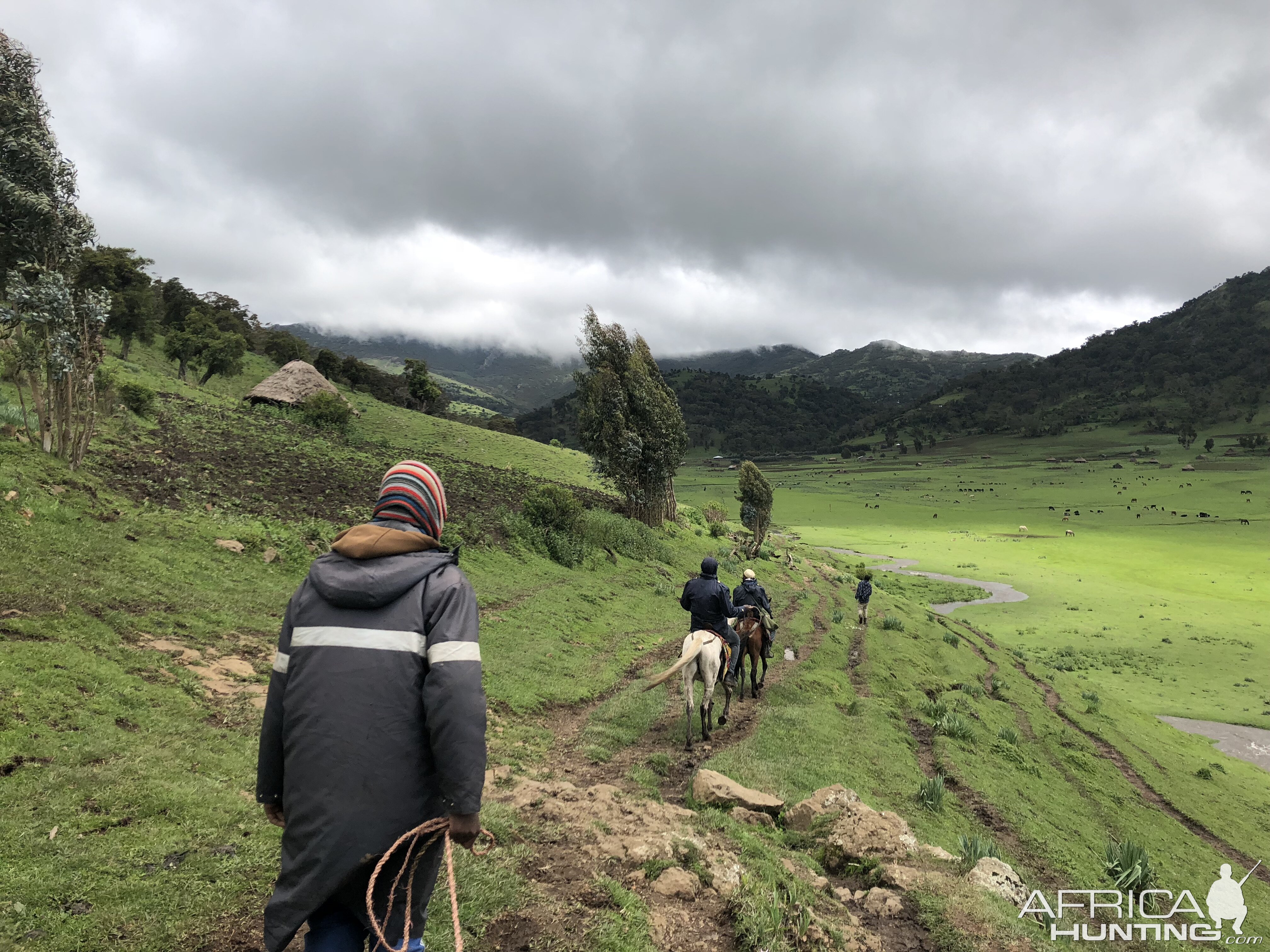 Hunting Ethiopia