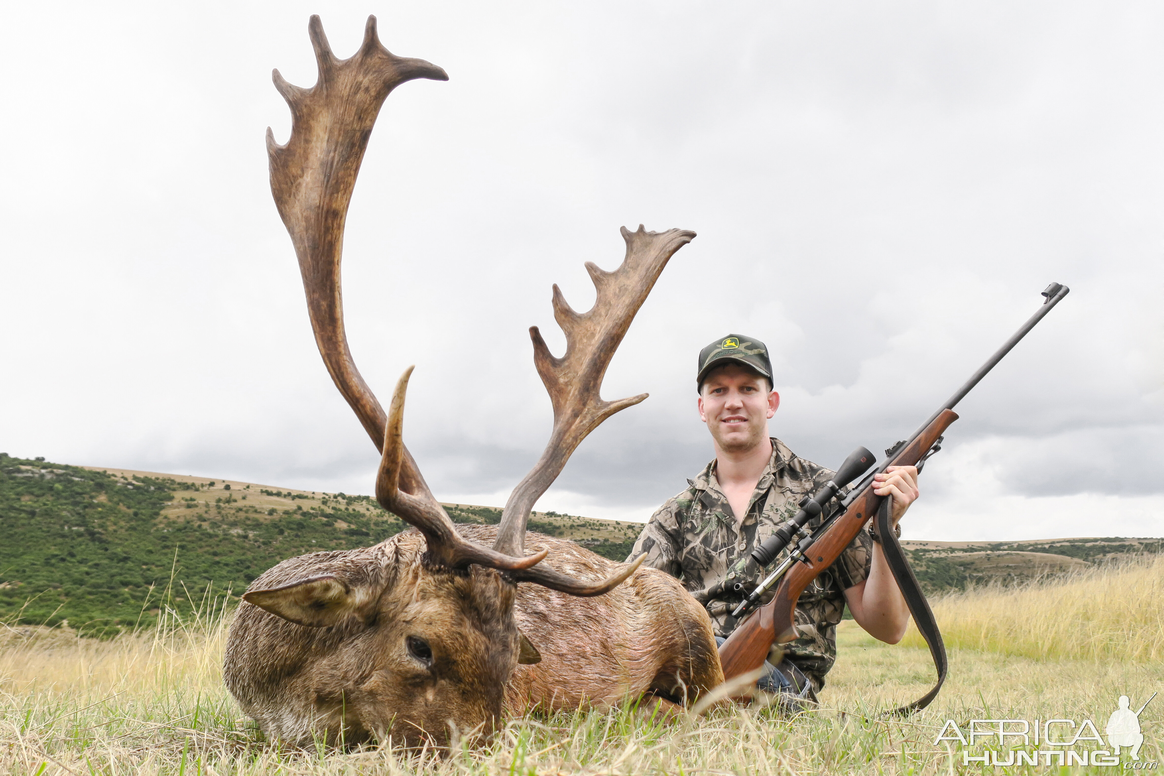 Hunting Fallow Deer South Africa