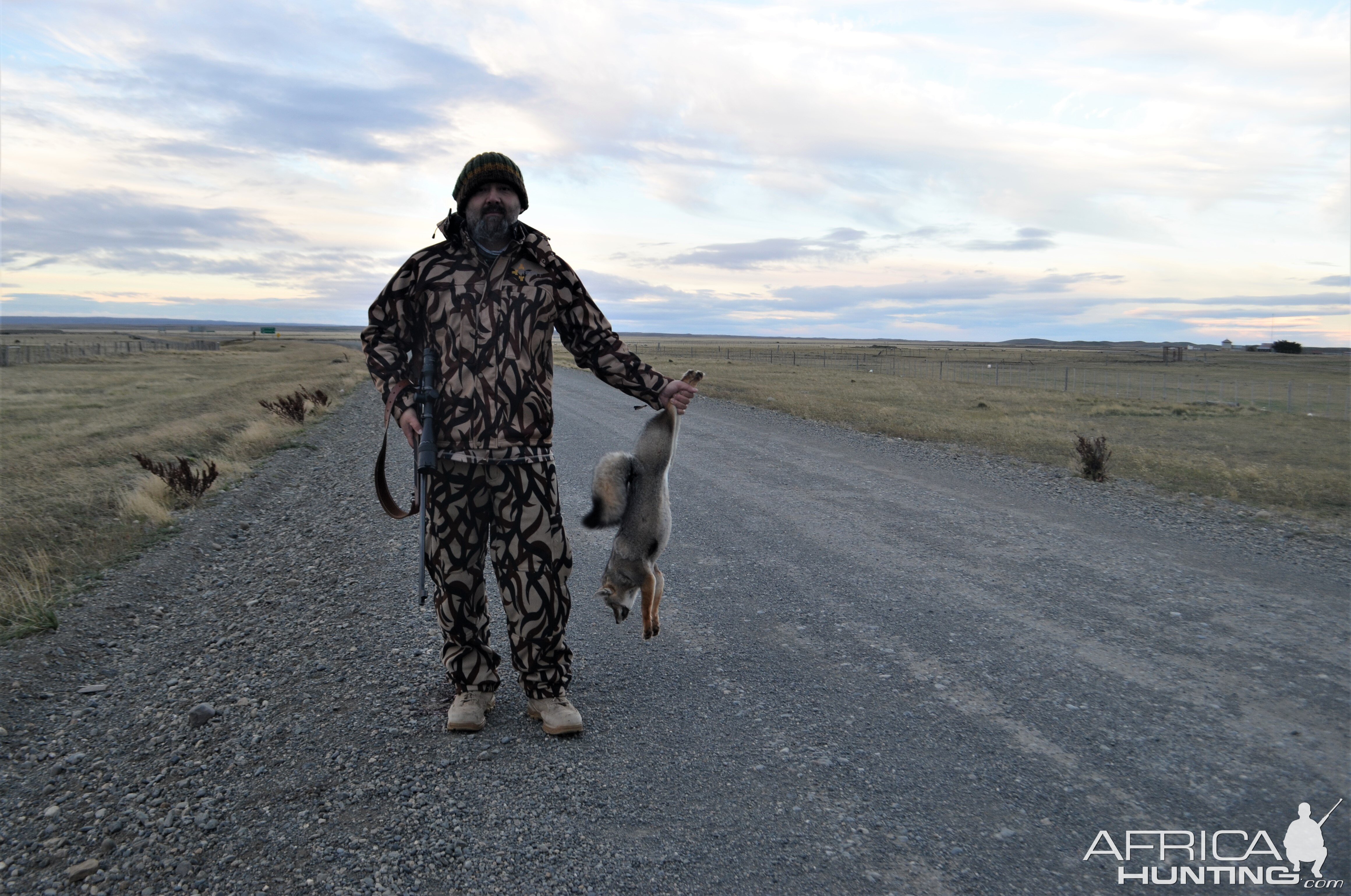 Hunting Fox in Chile South America
