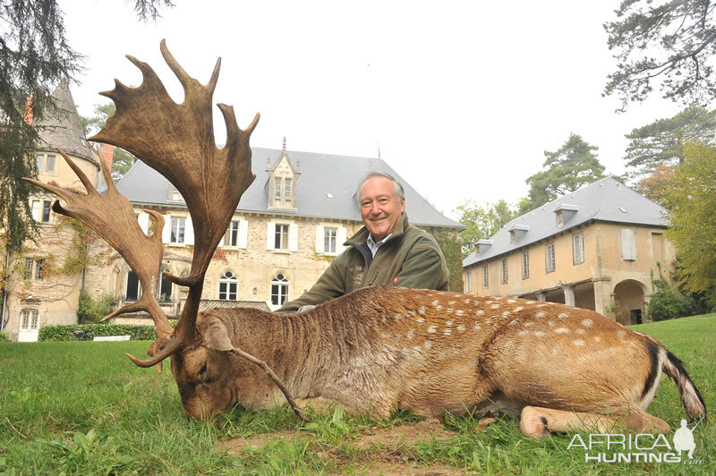 Hunting France Fallow Deer