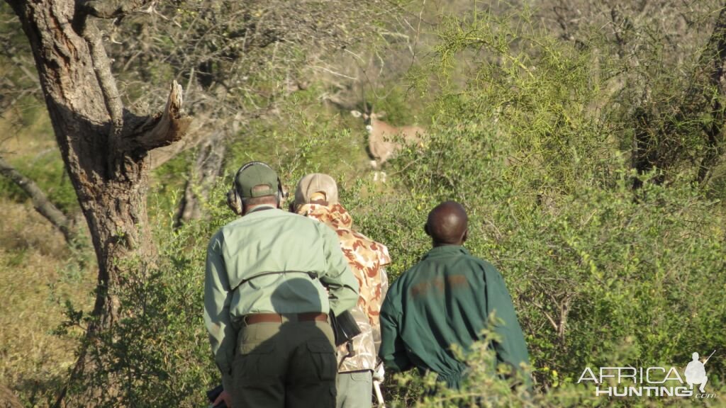 Hunting Fringe-eared Oryx in Tanzania