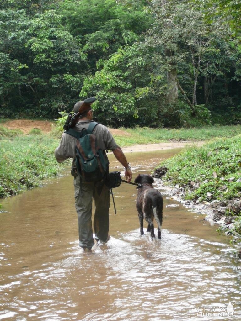 Hunting Gabon