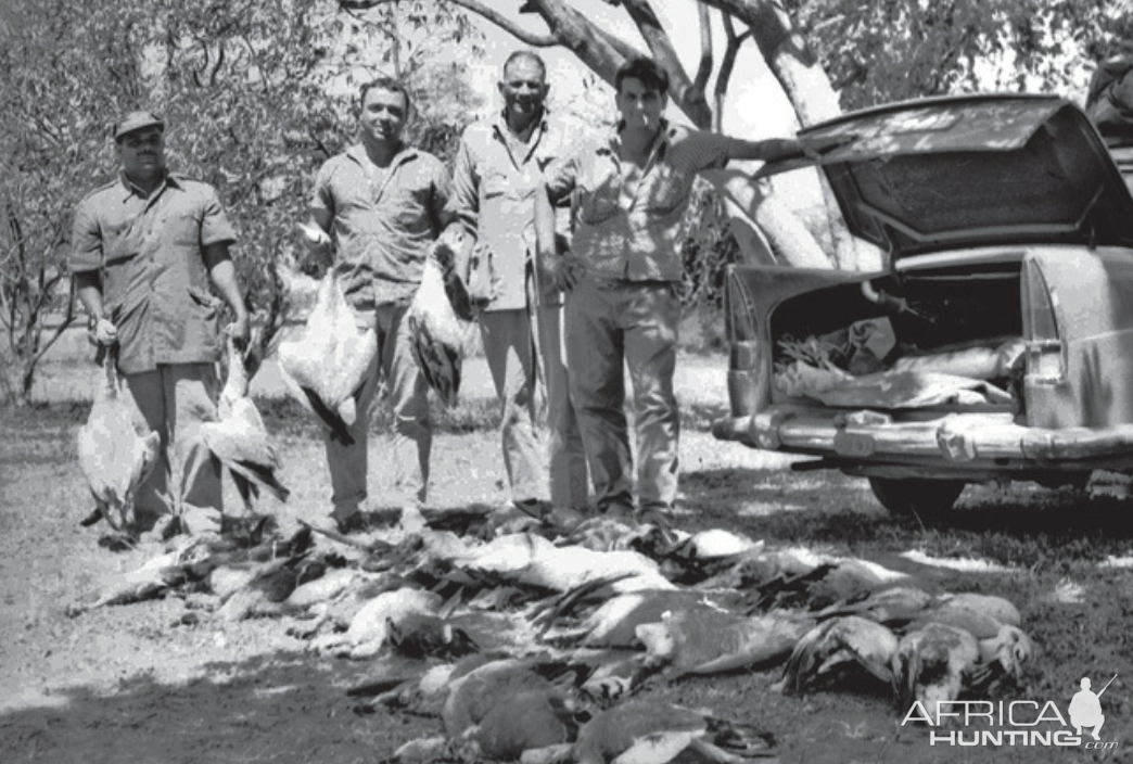 Hunting Geese in India