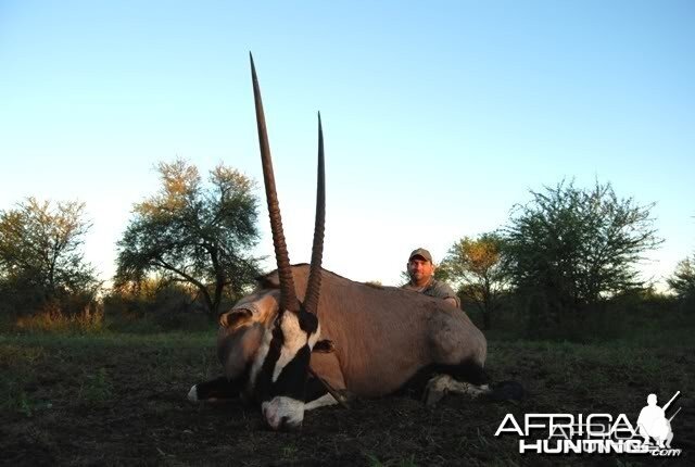 Hunting Gemsbok in Limpopo South Africa 36 1/4 inches