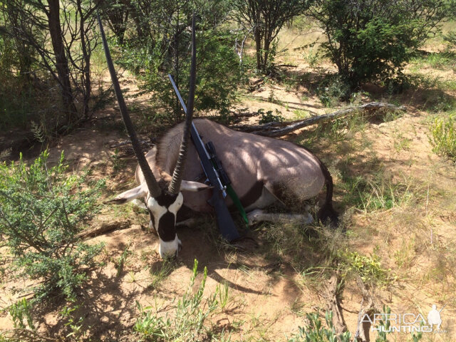 Hunting Gemsbok in Namibia