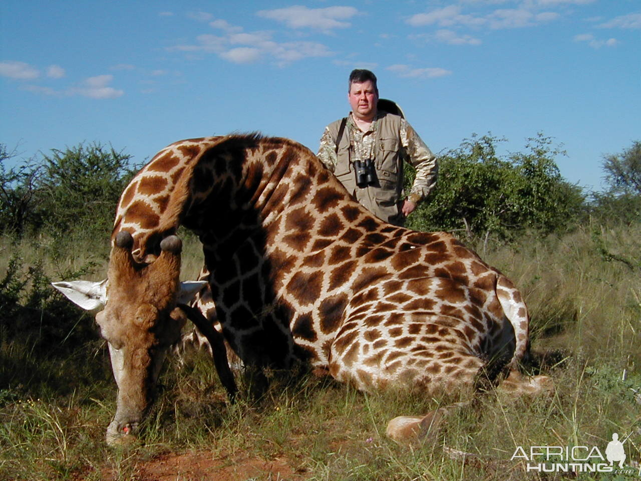 Hunting Giraffe in Namibia