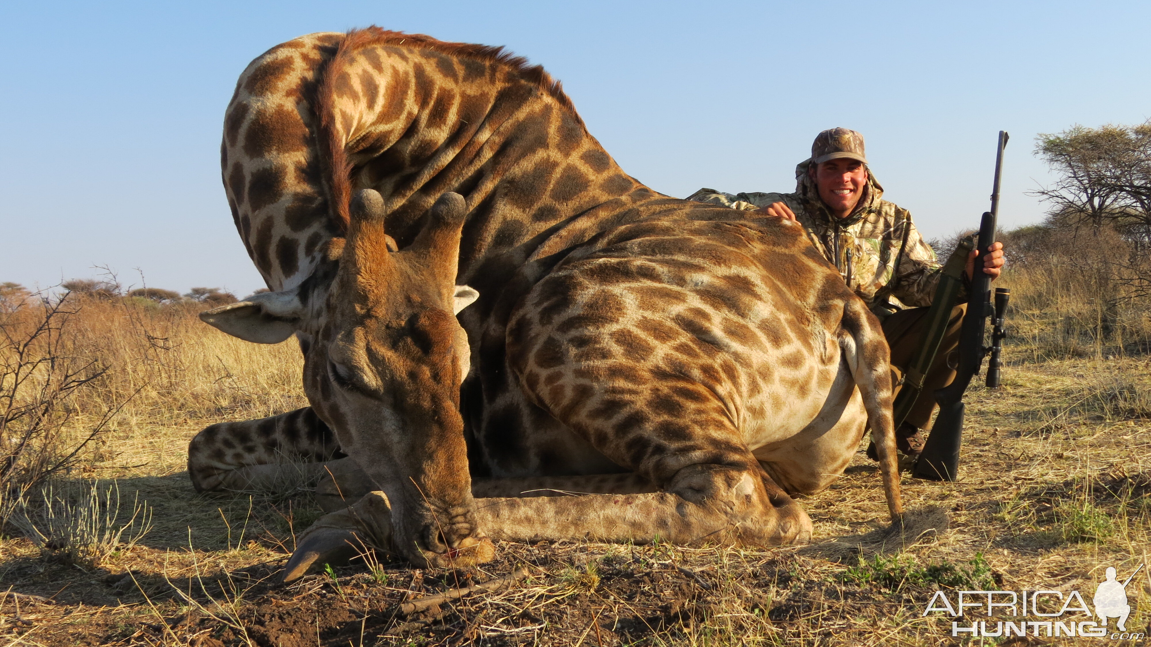 Hunting Giraffe in Namibia