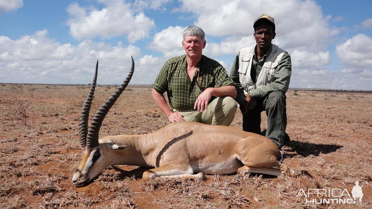 Hunting Grant's Gazelle Tanzania