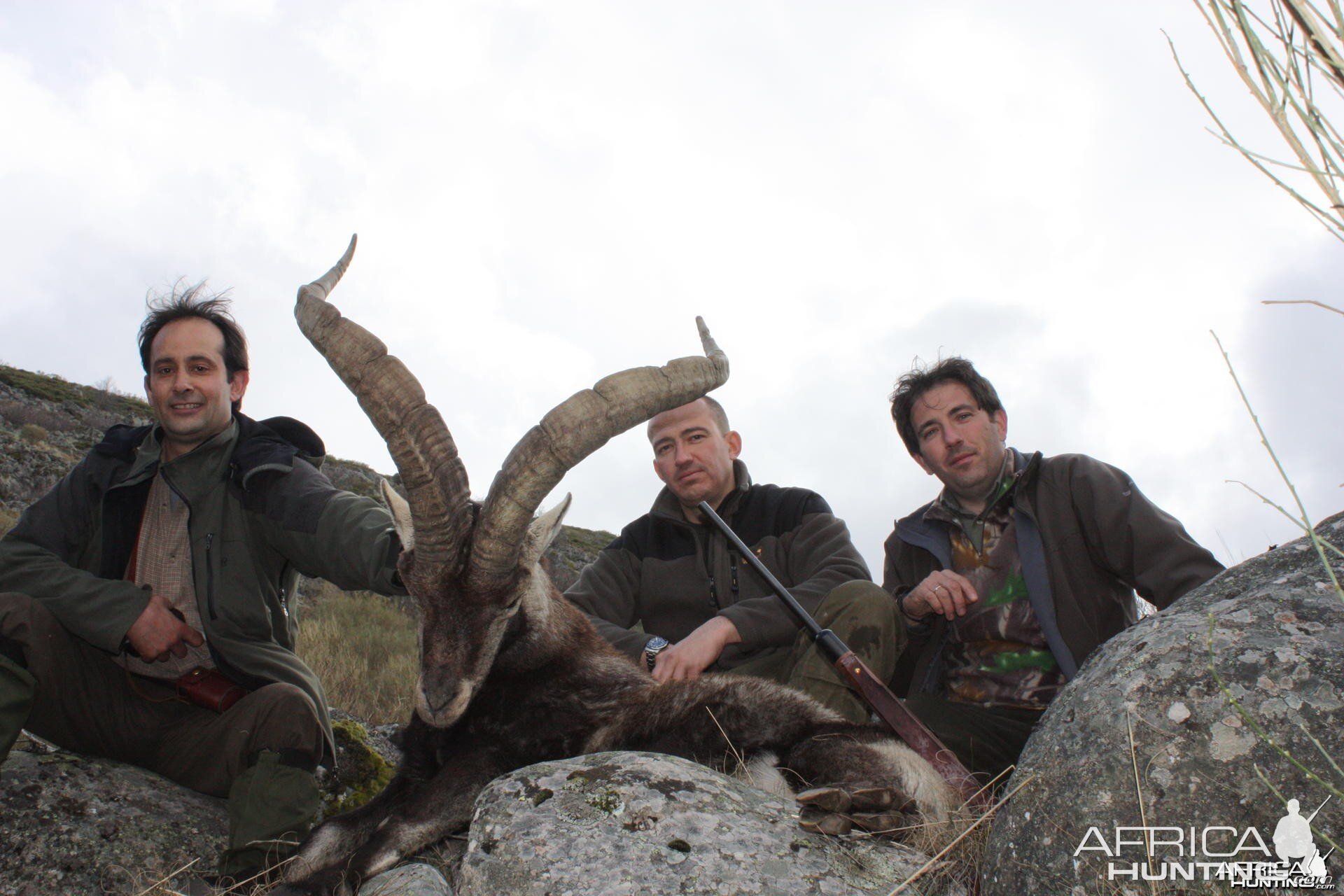 Hunting Gredos Gold Ibex in Spain