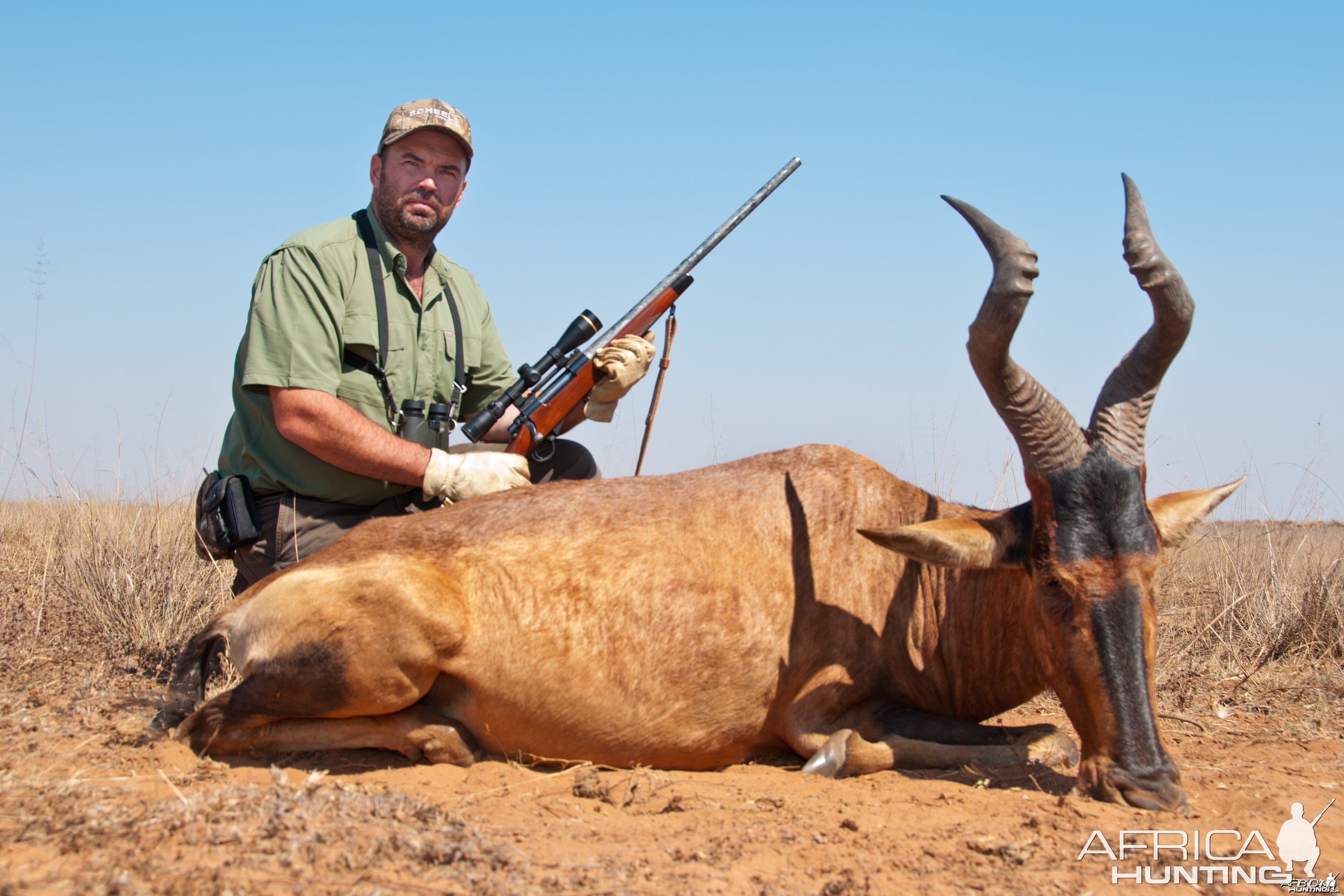 Hunting Hartebeest 2010 RSA