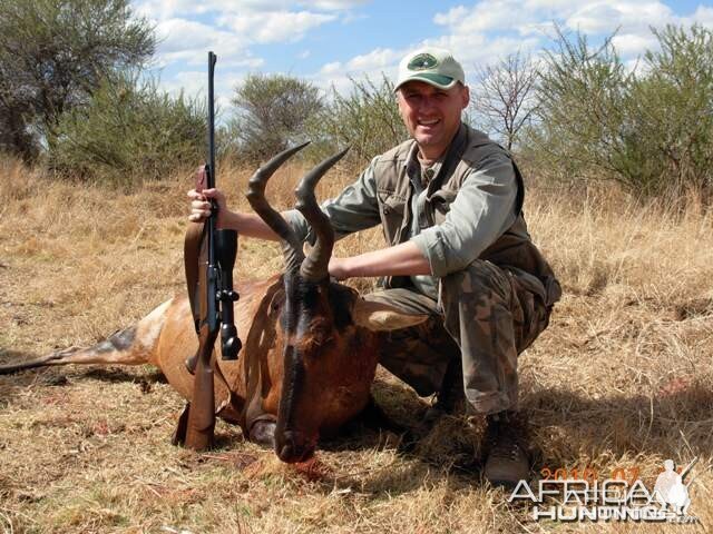 Hunting Hartebeest