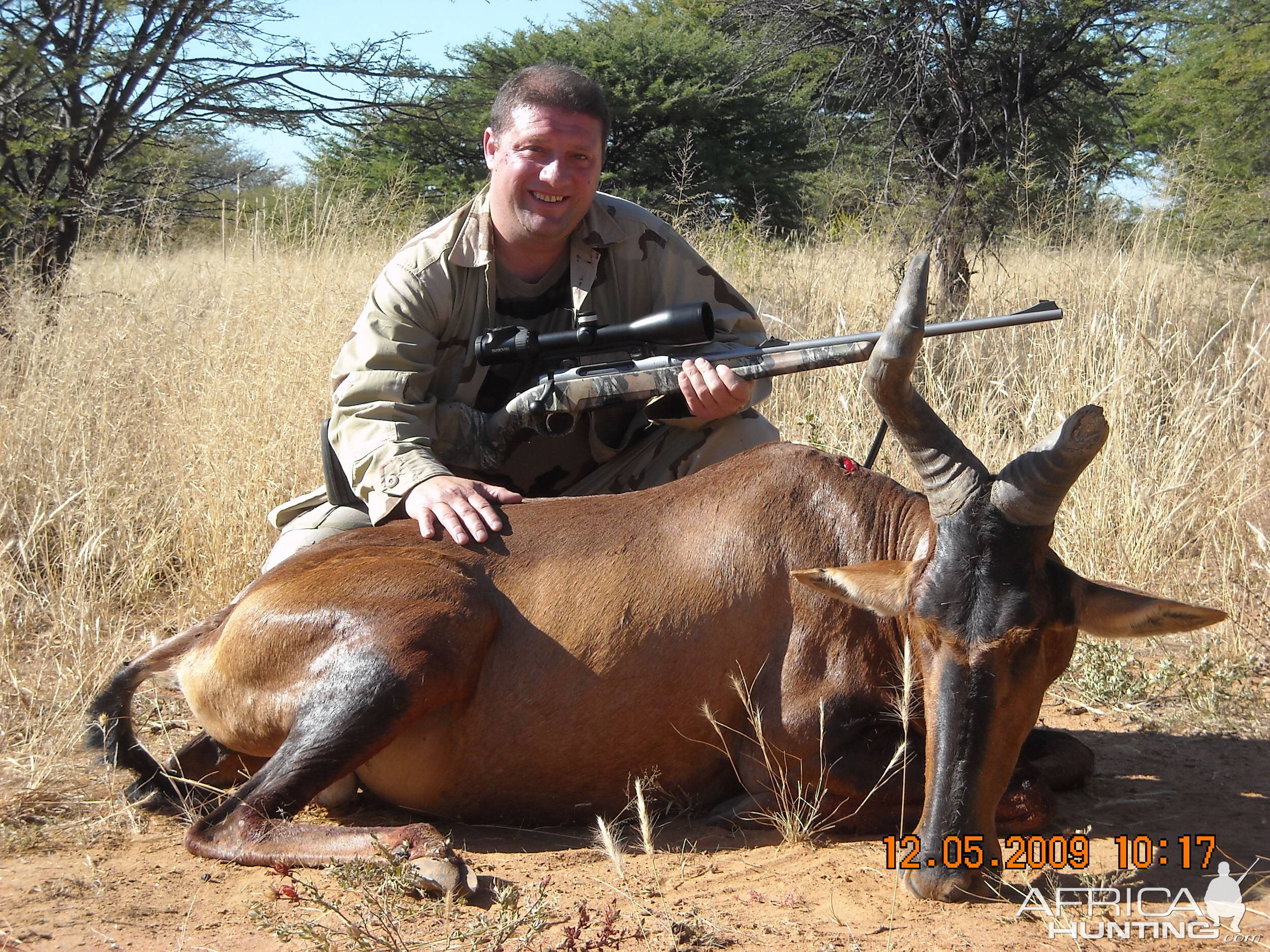 Hunting Hartebeest