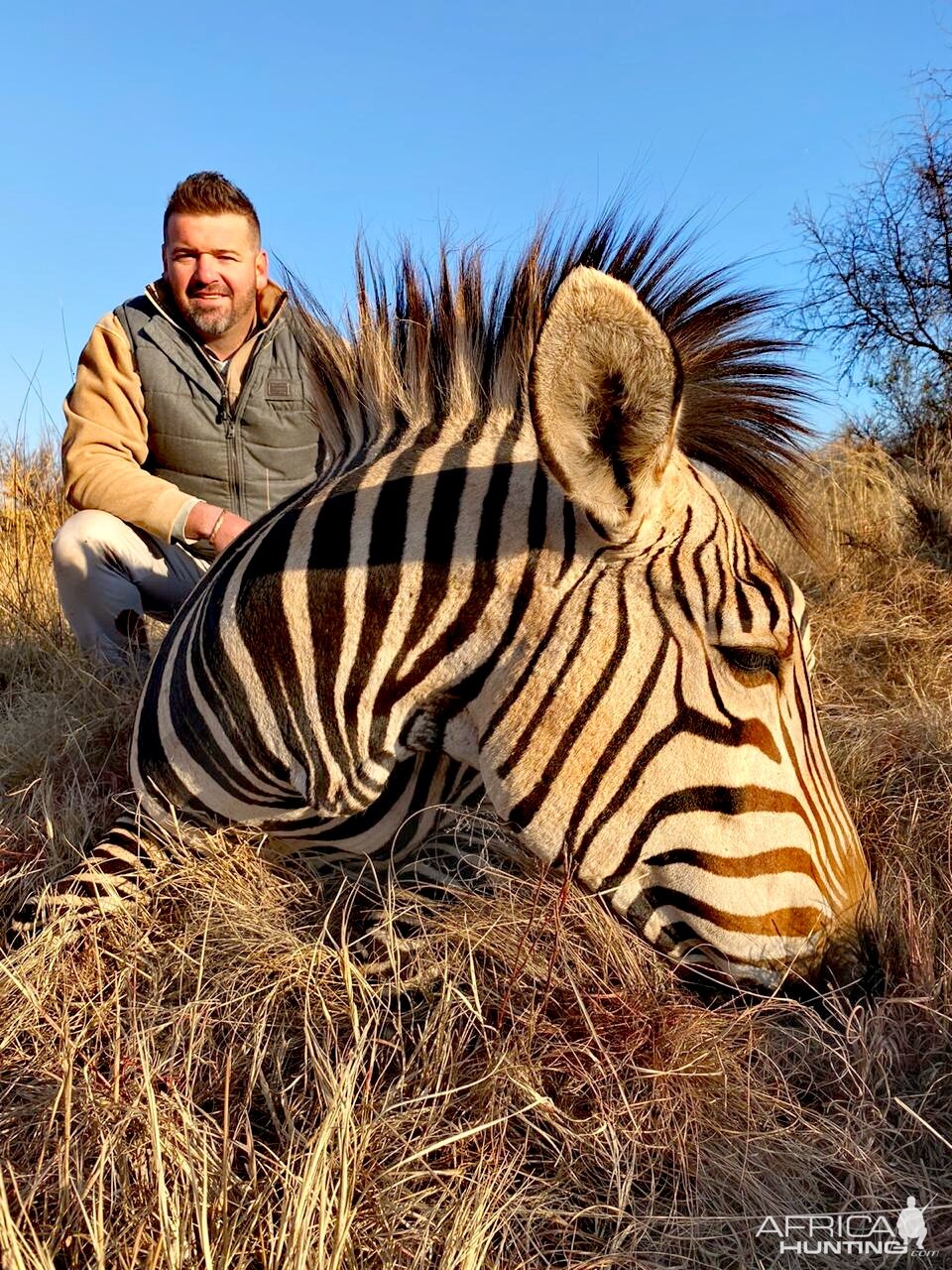 Hunting Hartmann's Mountain Zebra in South Africa