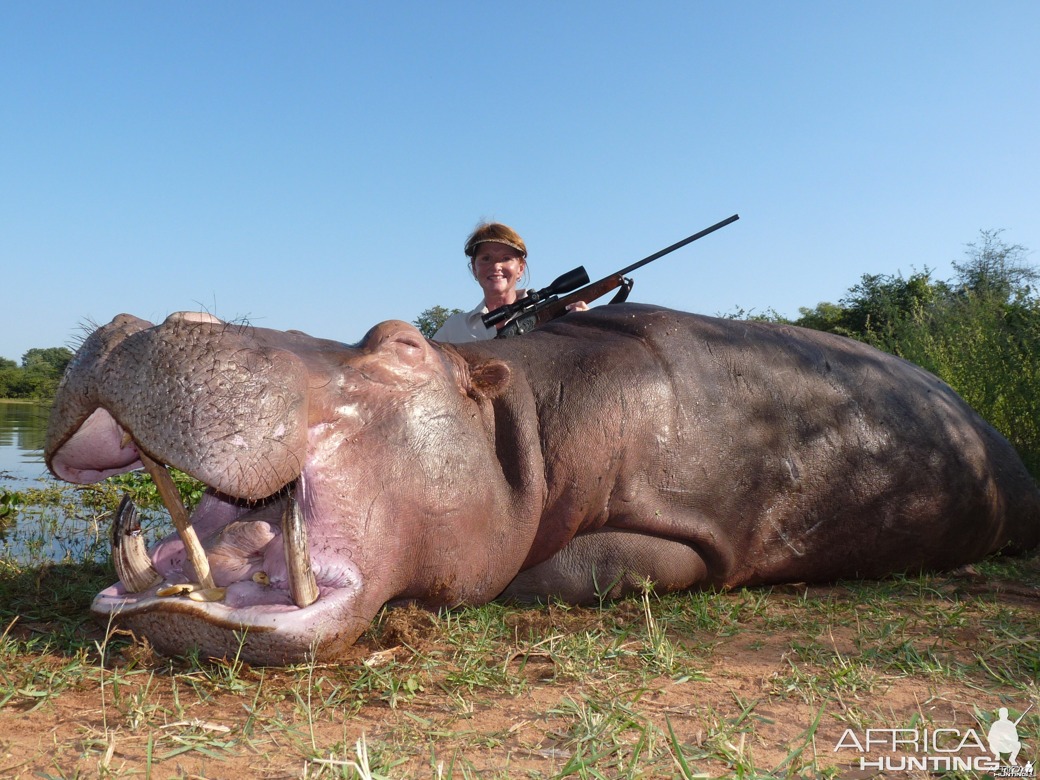Hunting Hippo with Wintershoek Johnny Vivier Safaris in SA