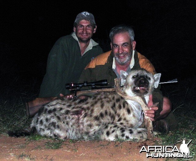 Hunting Hyena South Africa