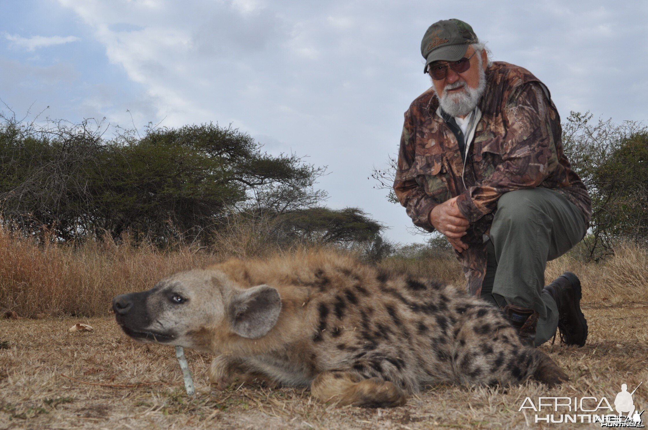 Hunting Hyena with Wintershoek Johnny Vivier Safaris in SA