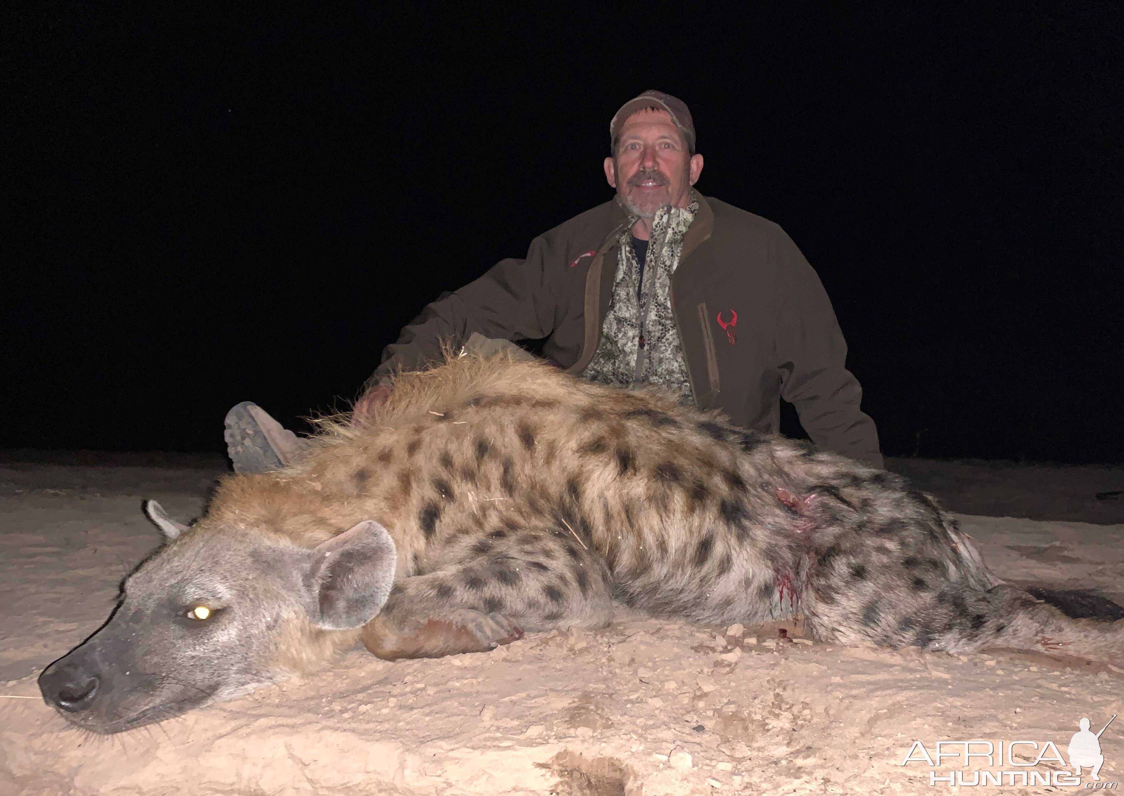 Hunting Hyena Zimbabwe