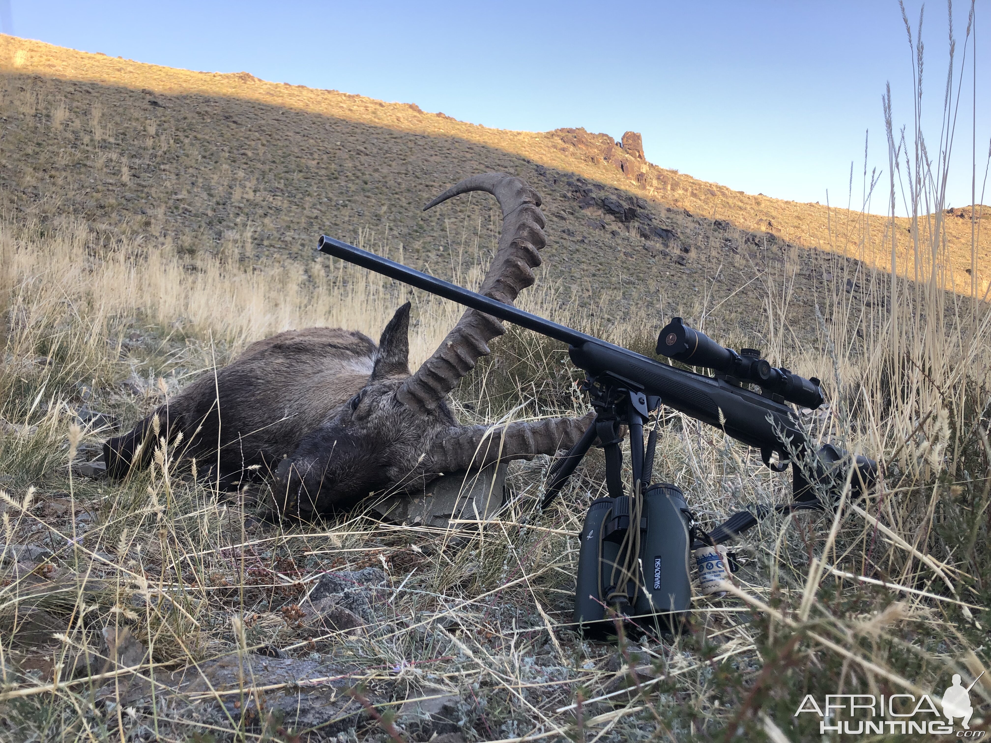 Hunting Ibex in Mongolia