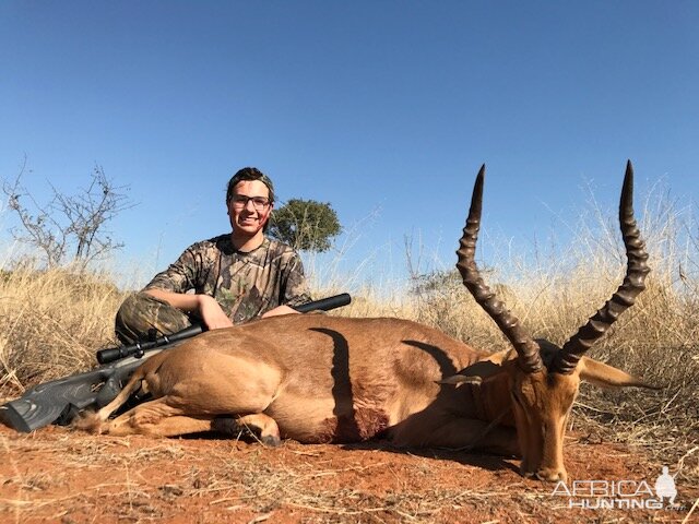 Hunting Impala South Africa