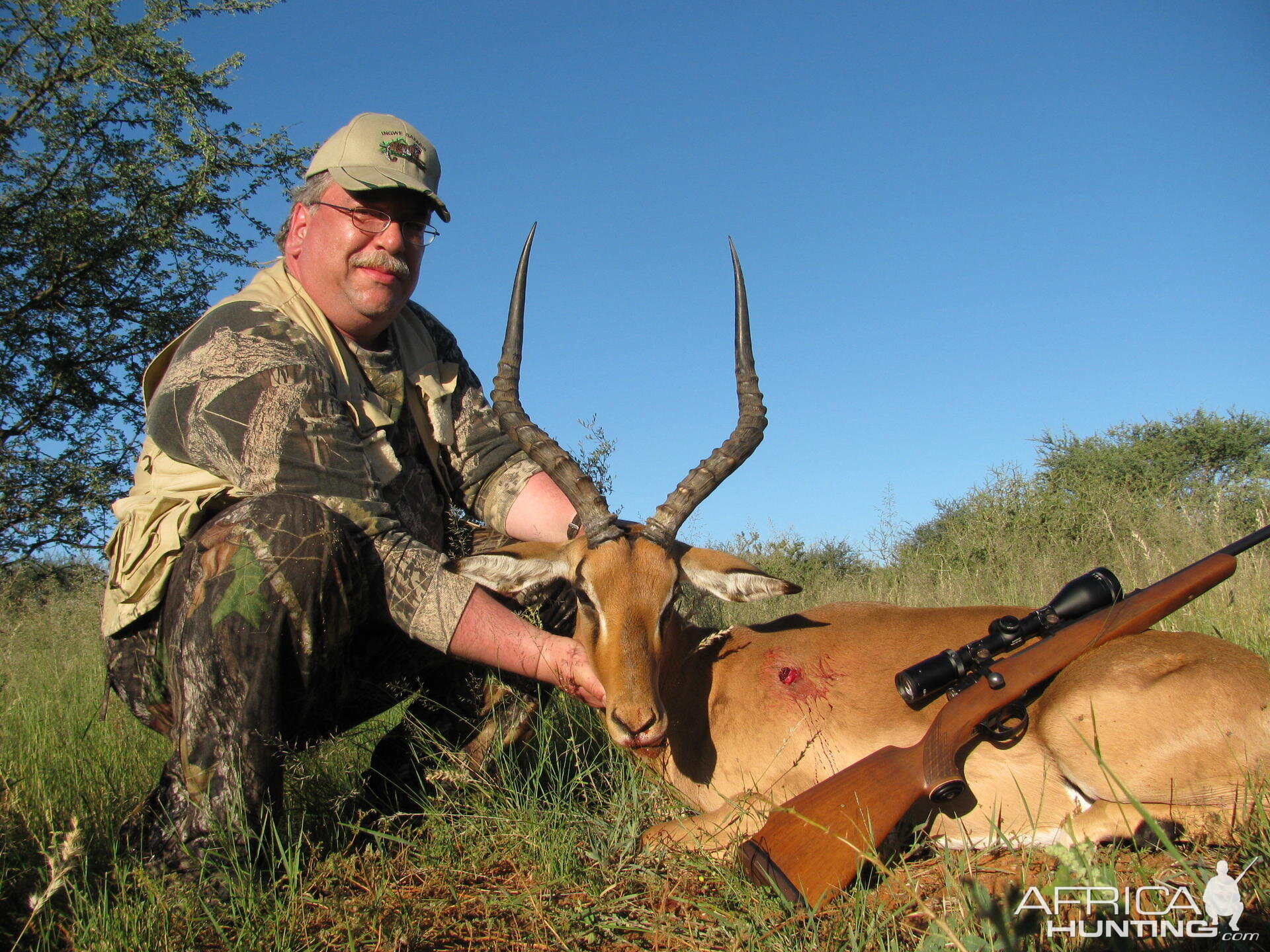 Hunting Impala