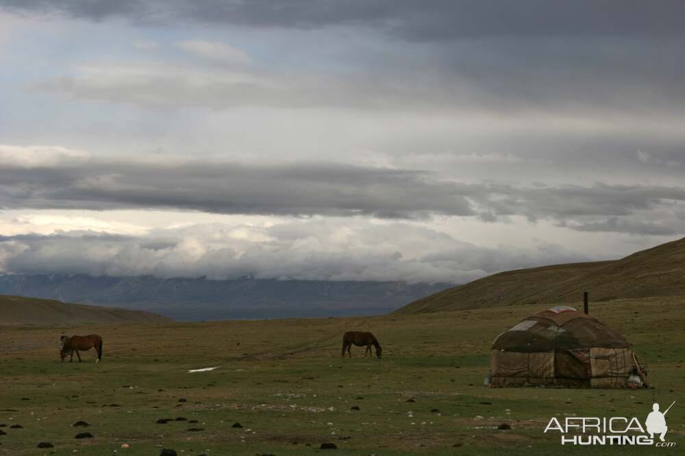 Hunting in Kyrgyzstan