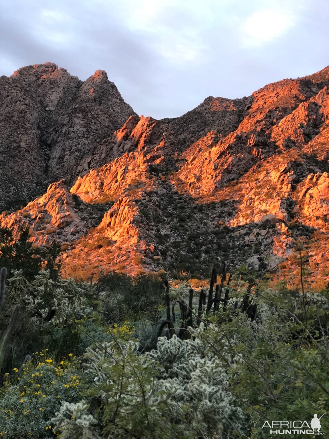 Hunting in Mexico