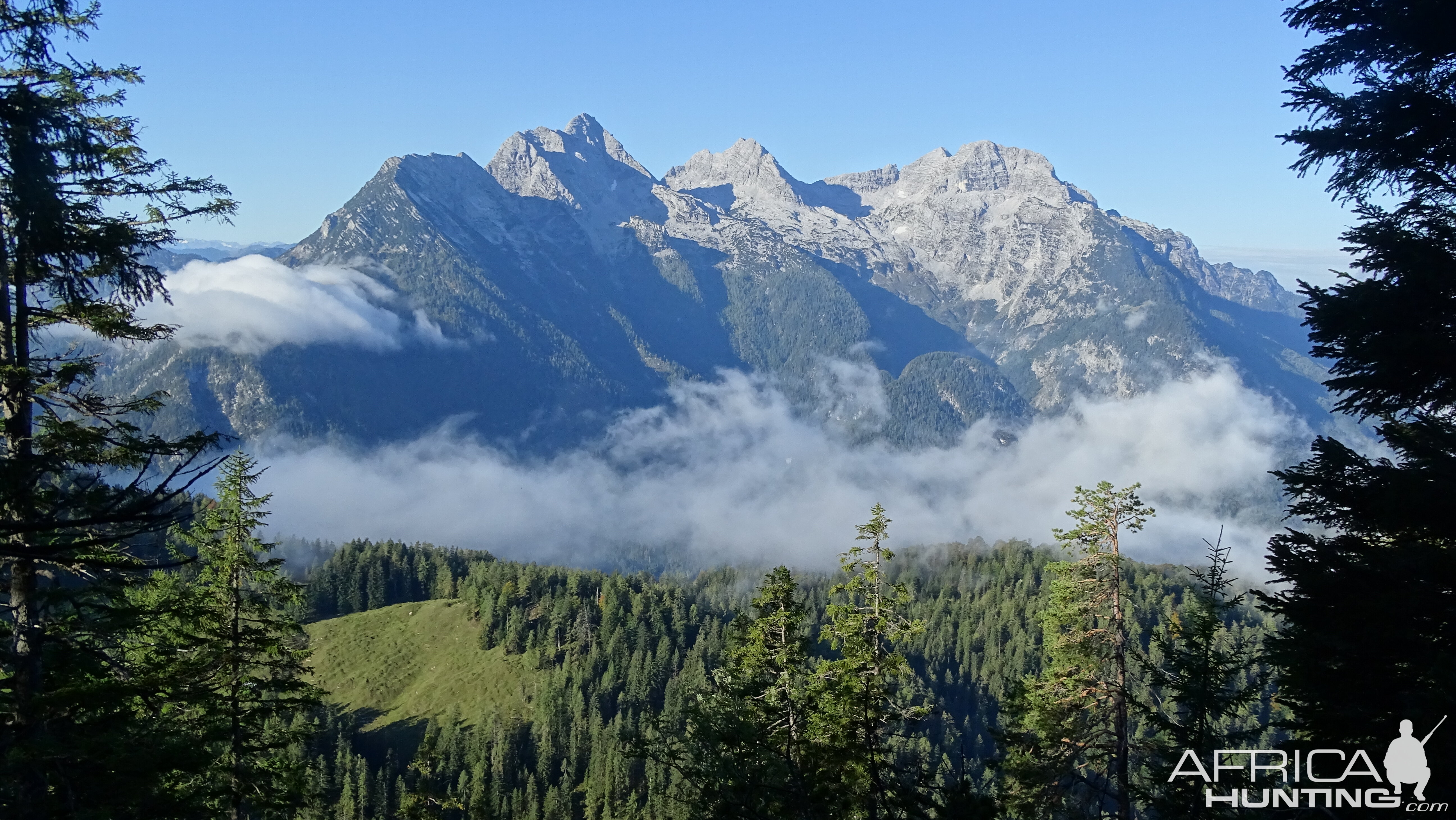 Hunting in the Austrian Mountains