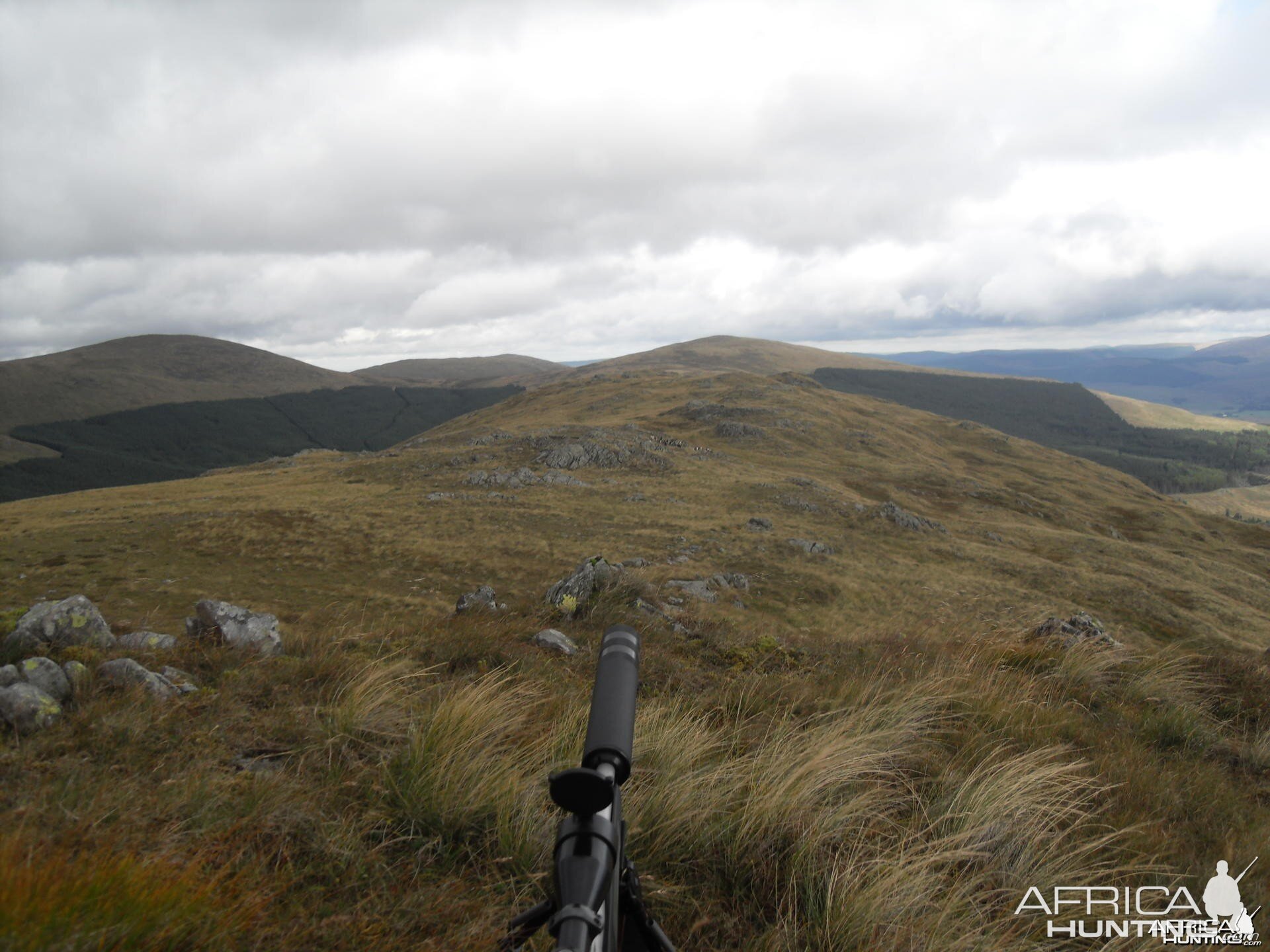 Hunting in the Scottish Mountains