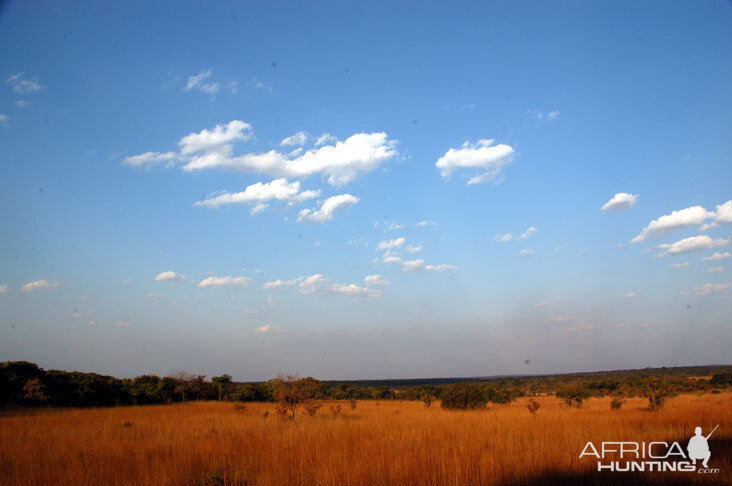 Hunting in Zambia