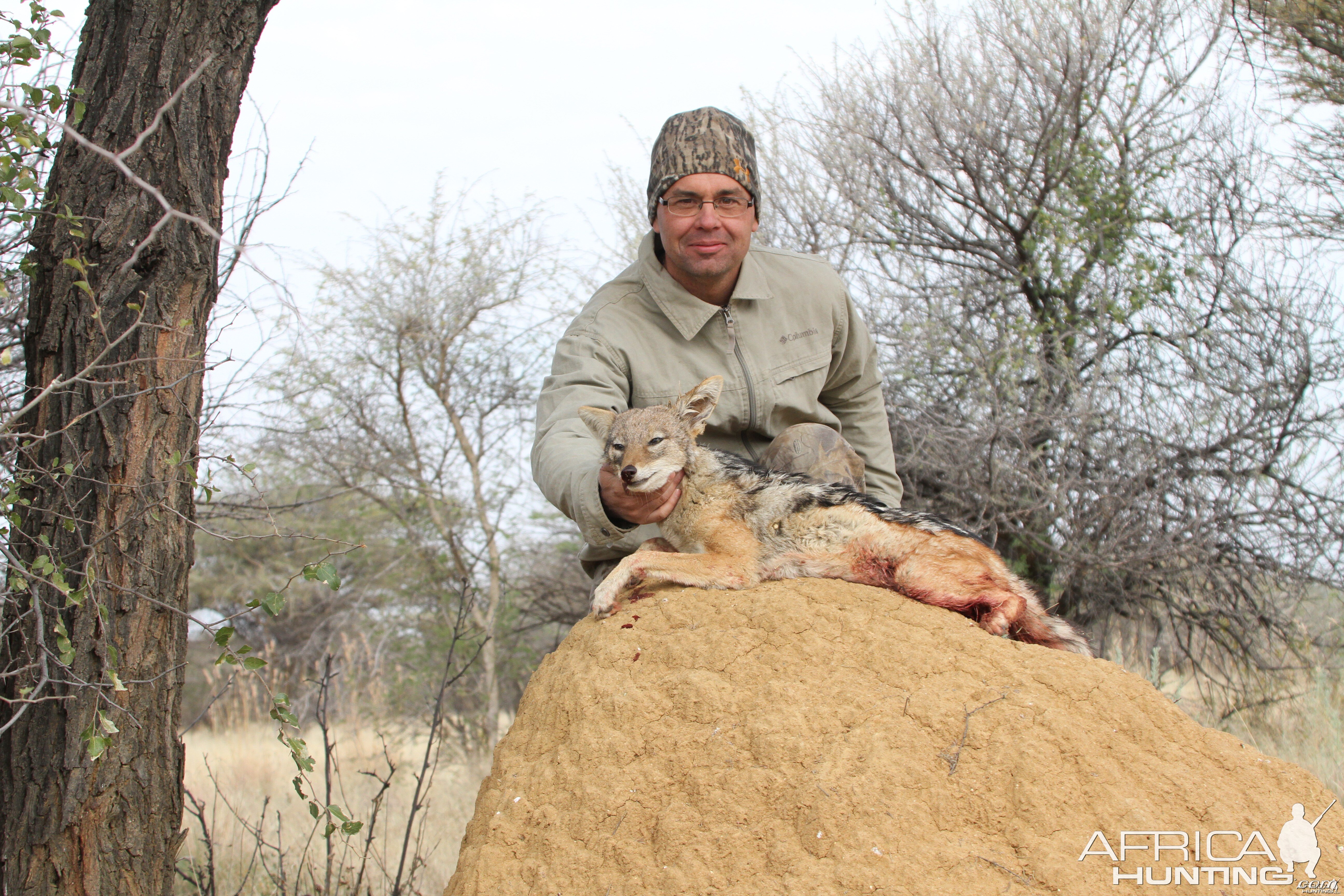 Hunting Jackal in Namibia