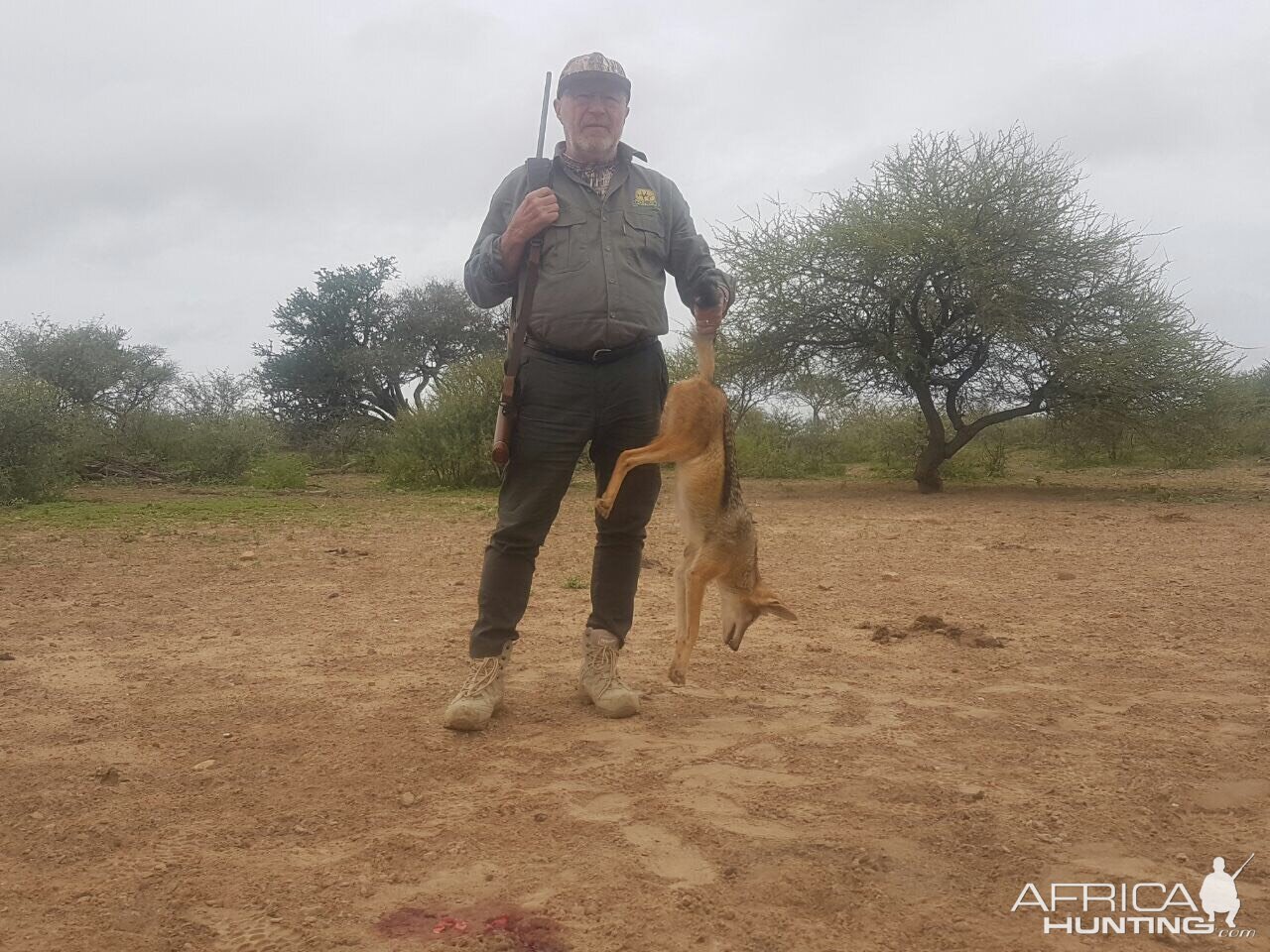 Hunting Jackal South Africa