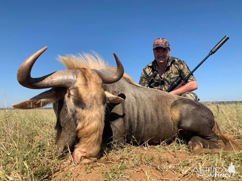 Hunting Kings Wildebeest in South Africa