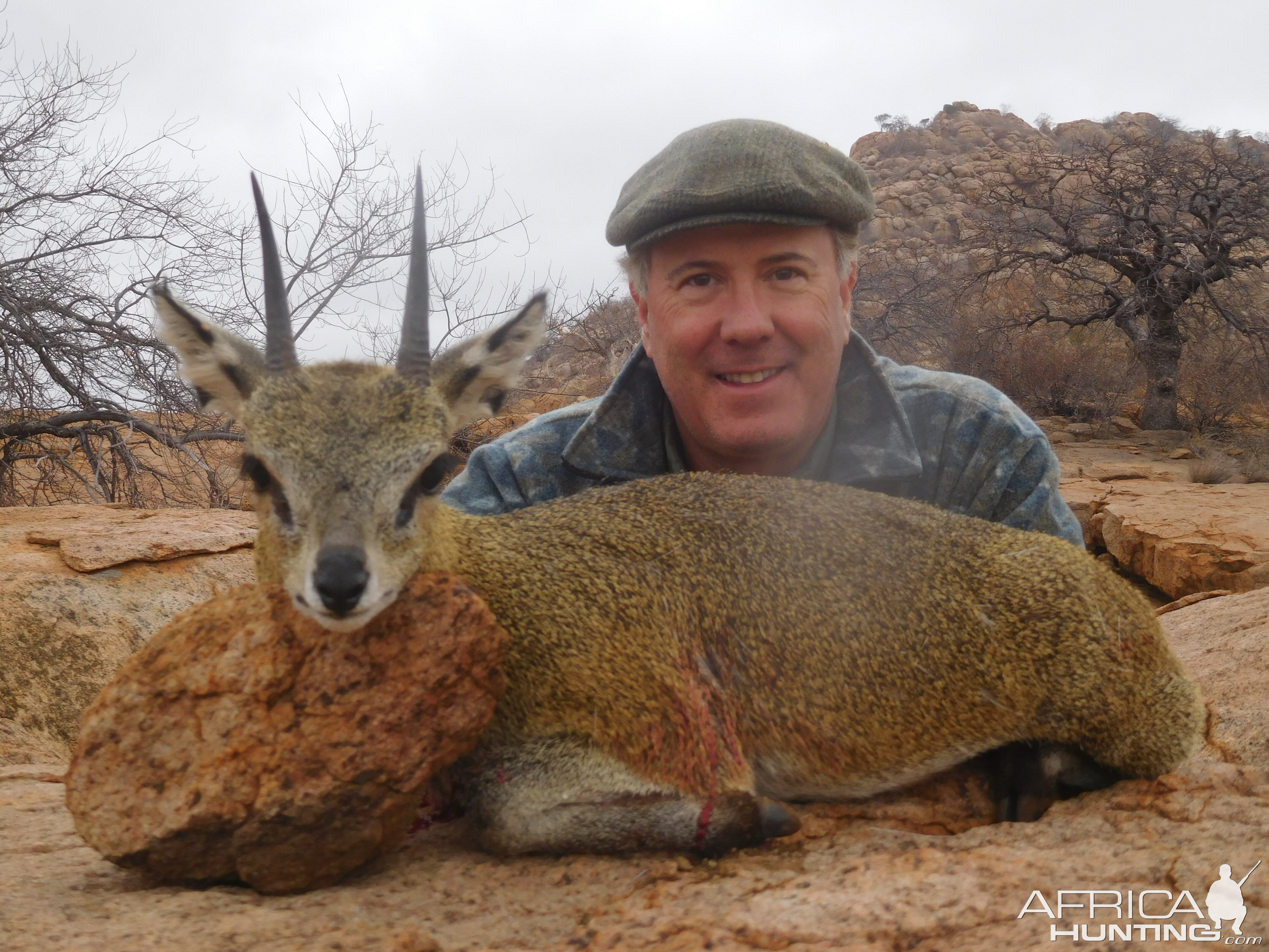 Hunting Klipspringer in South Africa