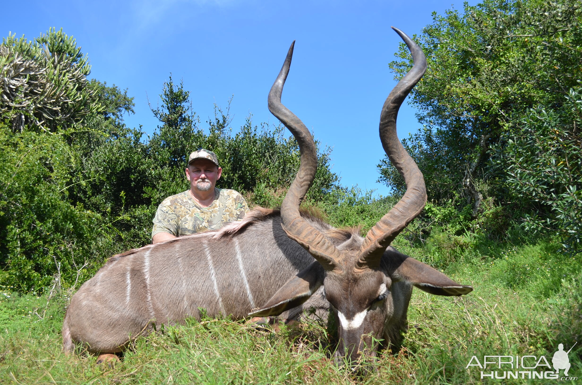 Hunting Kudu in South Africa