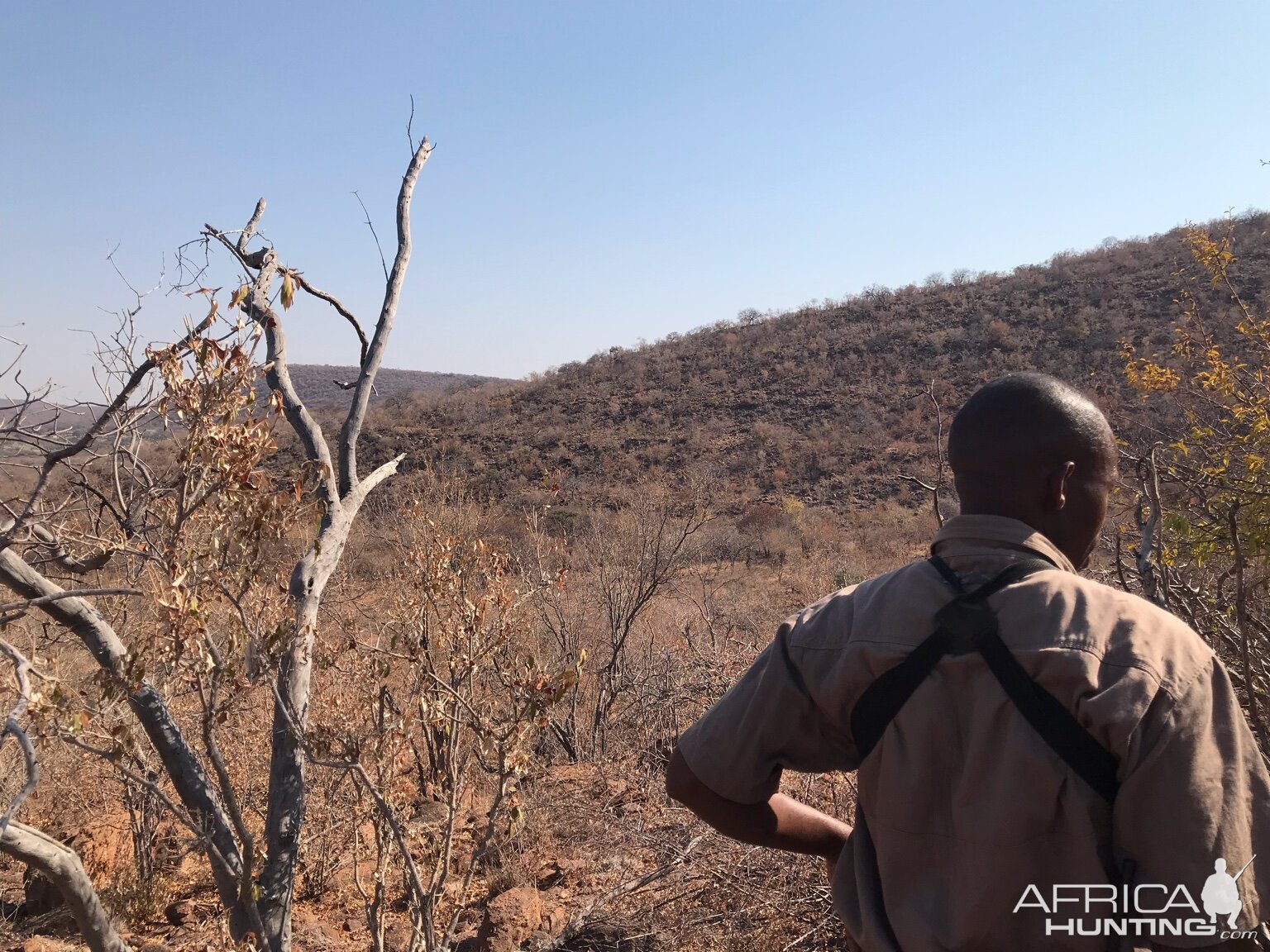 Hunting Kudu in South Africa