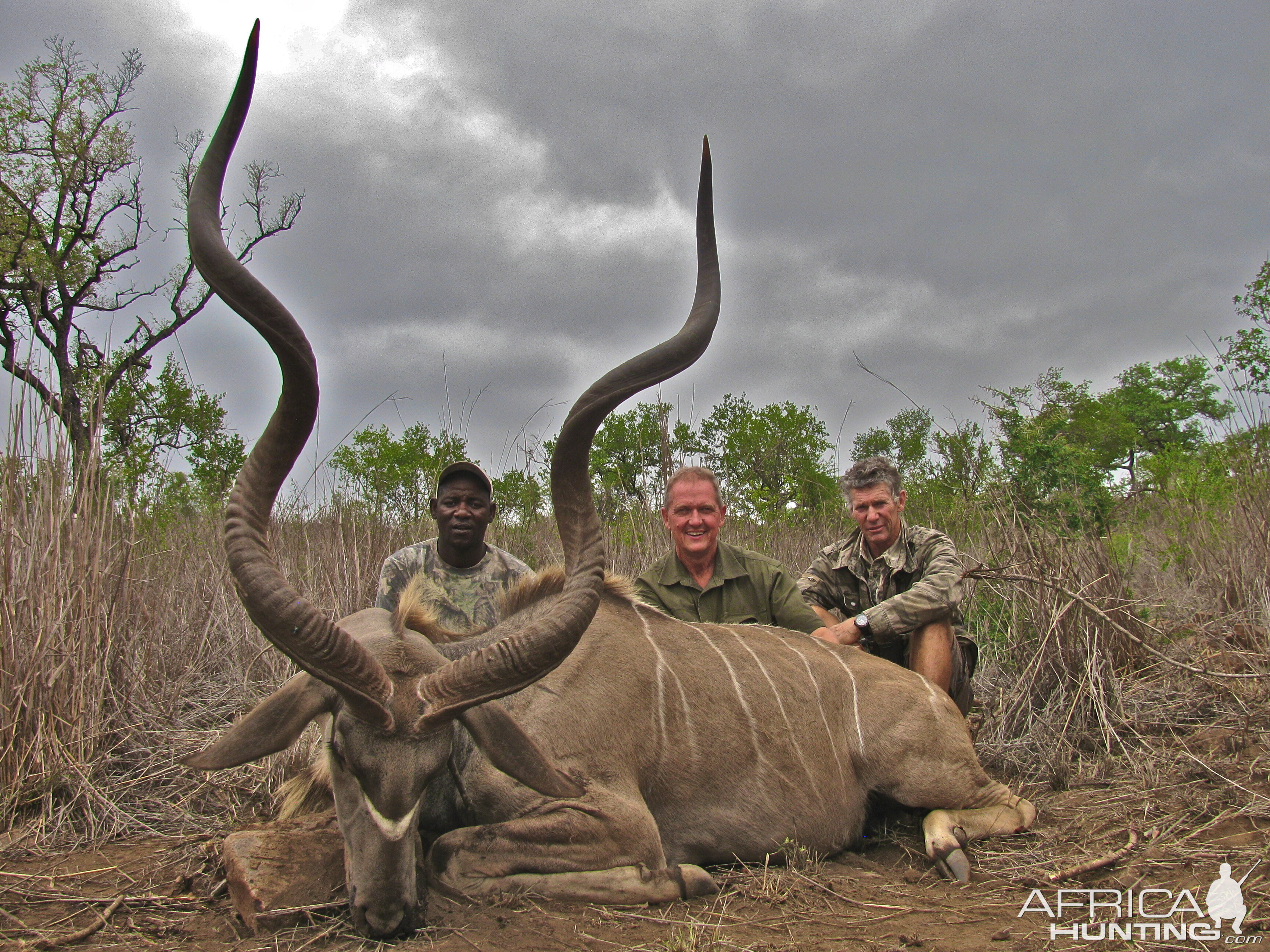 Hunting Kudu Lebombo Mozambique