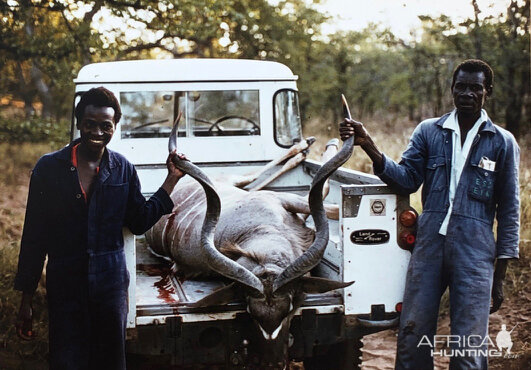 Hunting Kudu South Africa