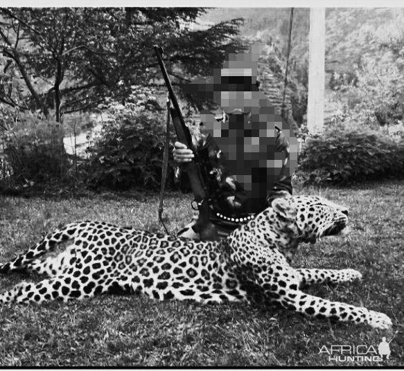 Hunting Leopard in India