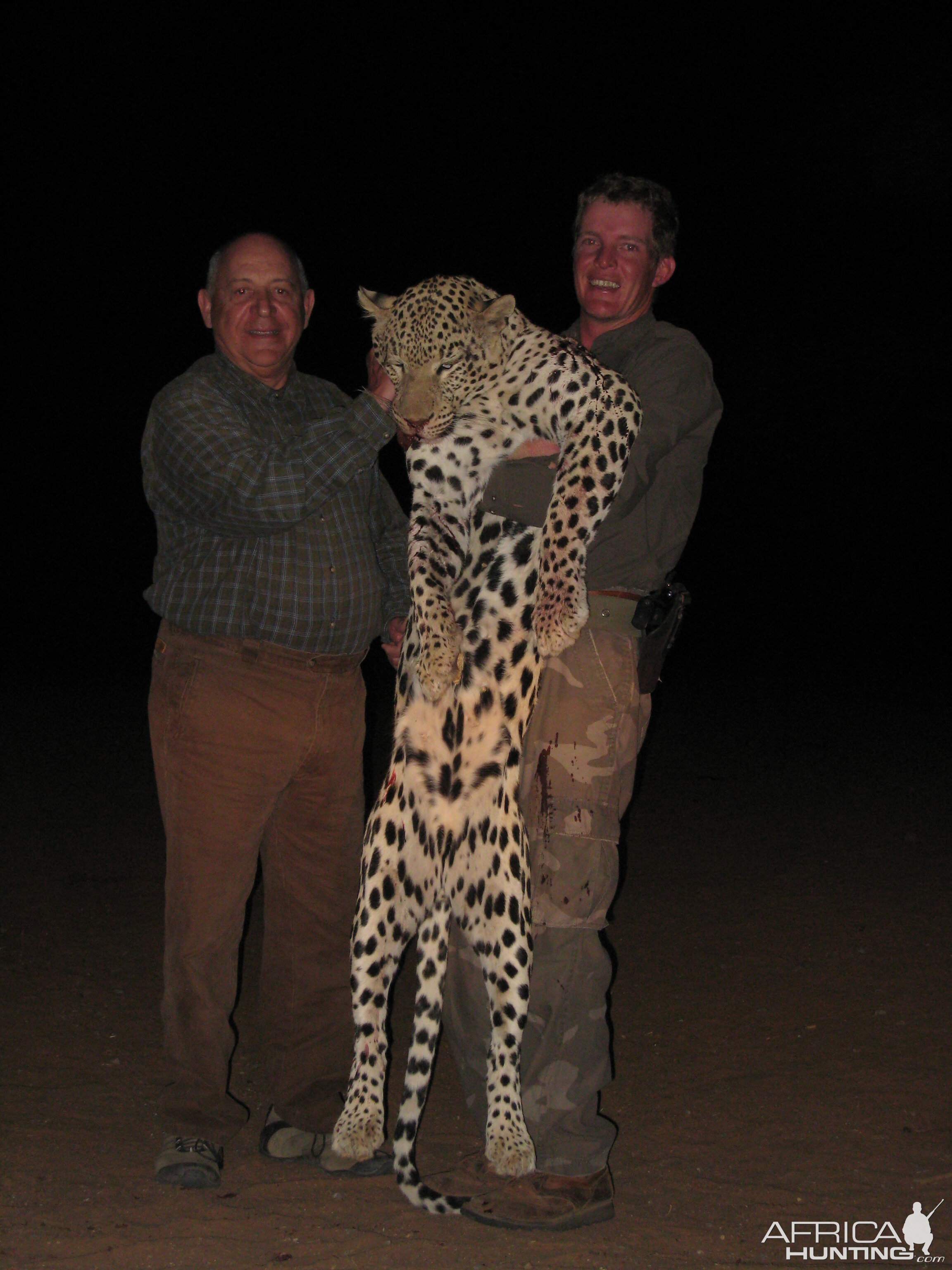 Hunting Leopard in Namibia