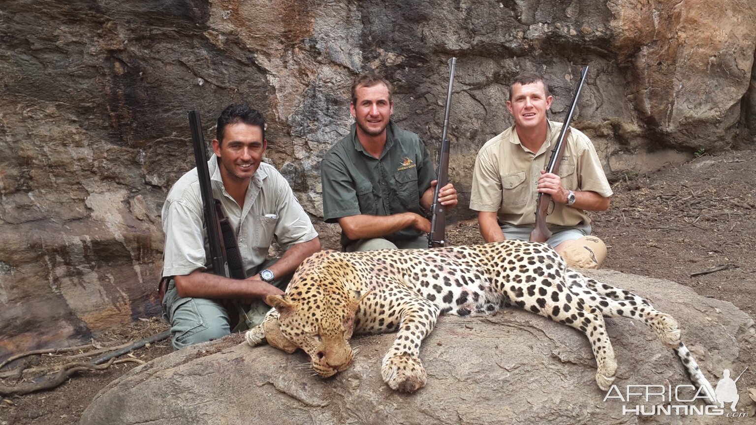 Hunting Leopard in Namibia