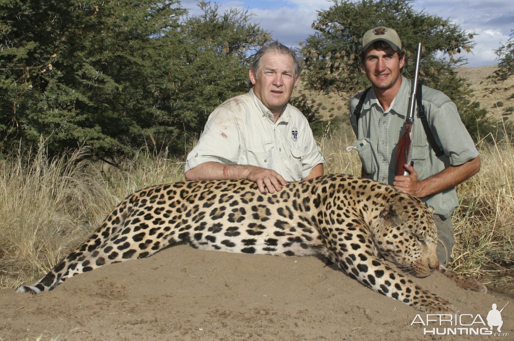 Hunting Leopard in Namibia