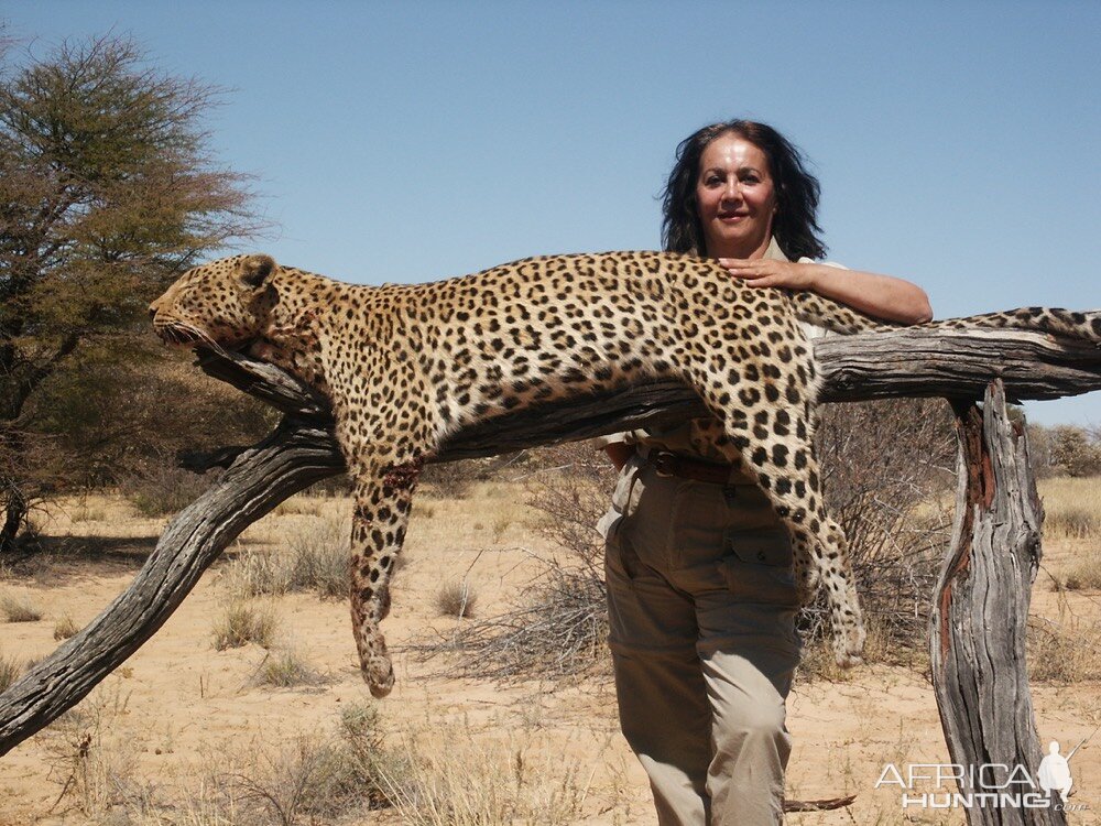 Hunting Leopard in South Africa