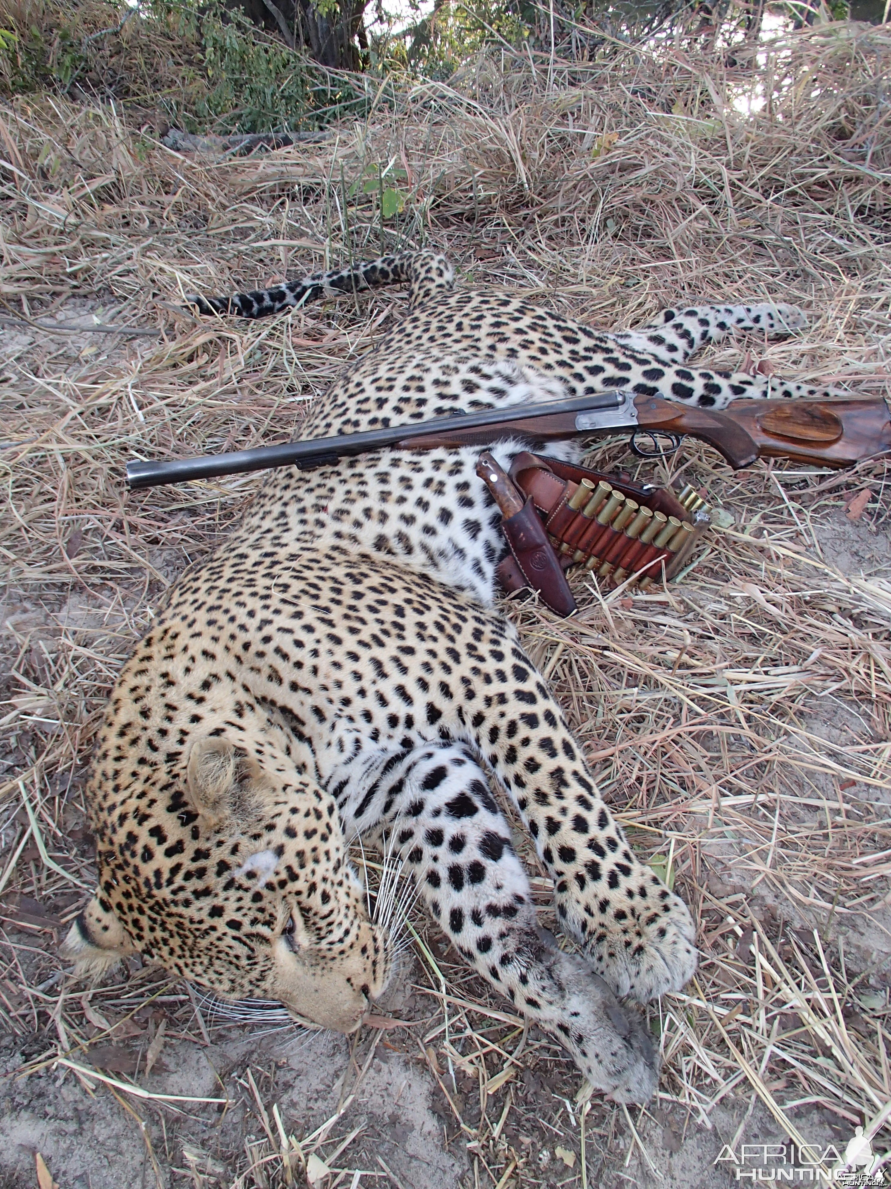 Hunting Leopard in Tanzania with Nathan Askew of Bullet Safaris