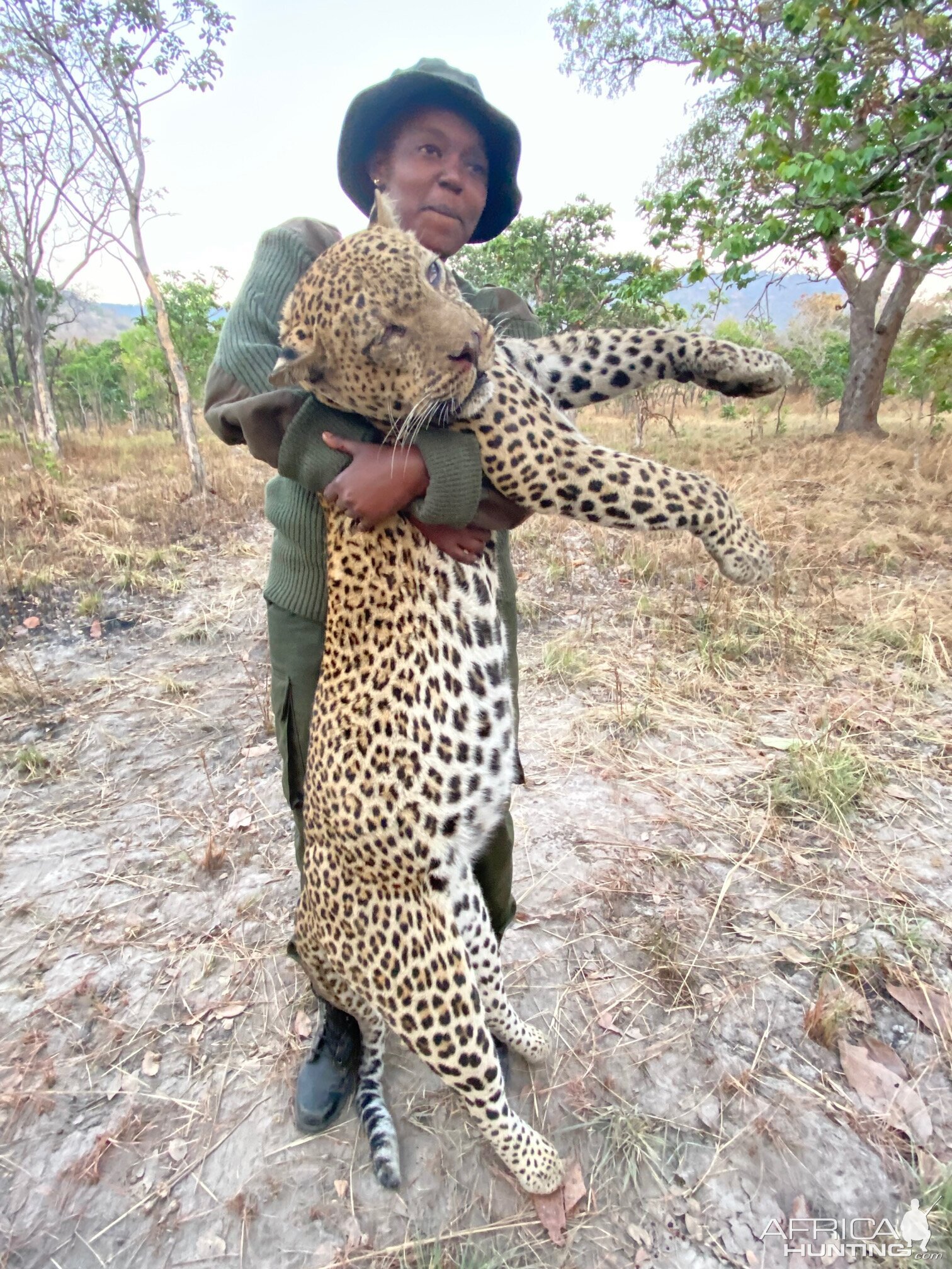 Hunting Leopard in Tanzania