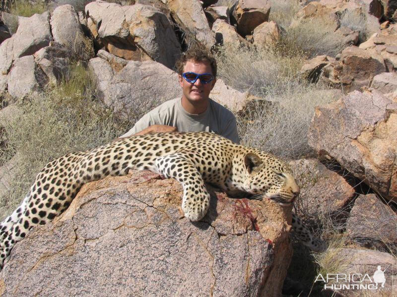 Hunting Leopard Namibia