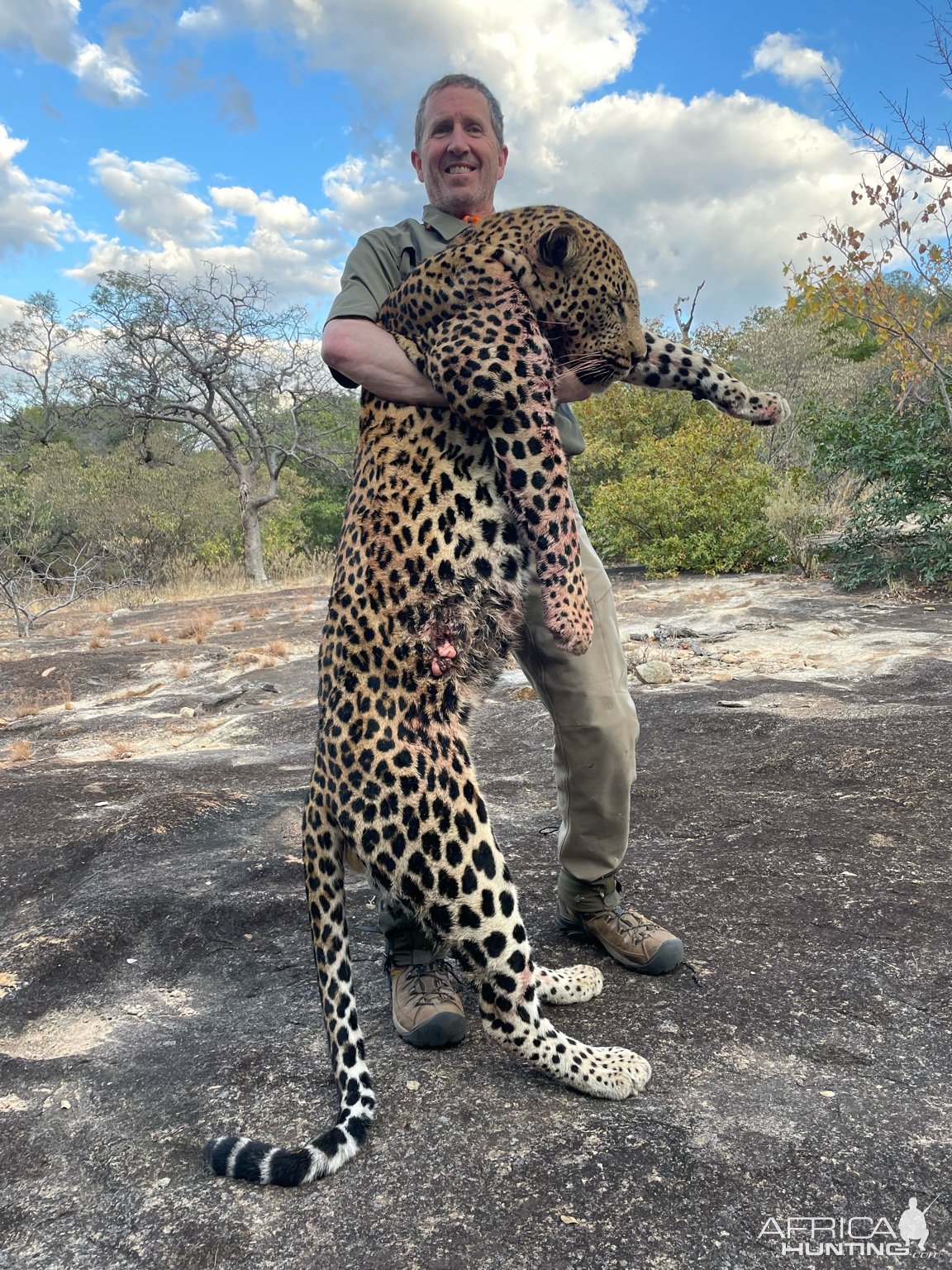 Hunting Leopard Zimbabwe