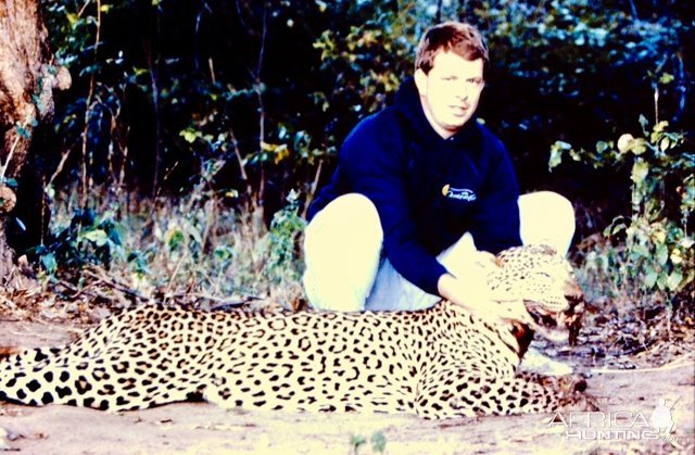 Hunting Leopard Zimbabwe