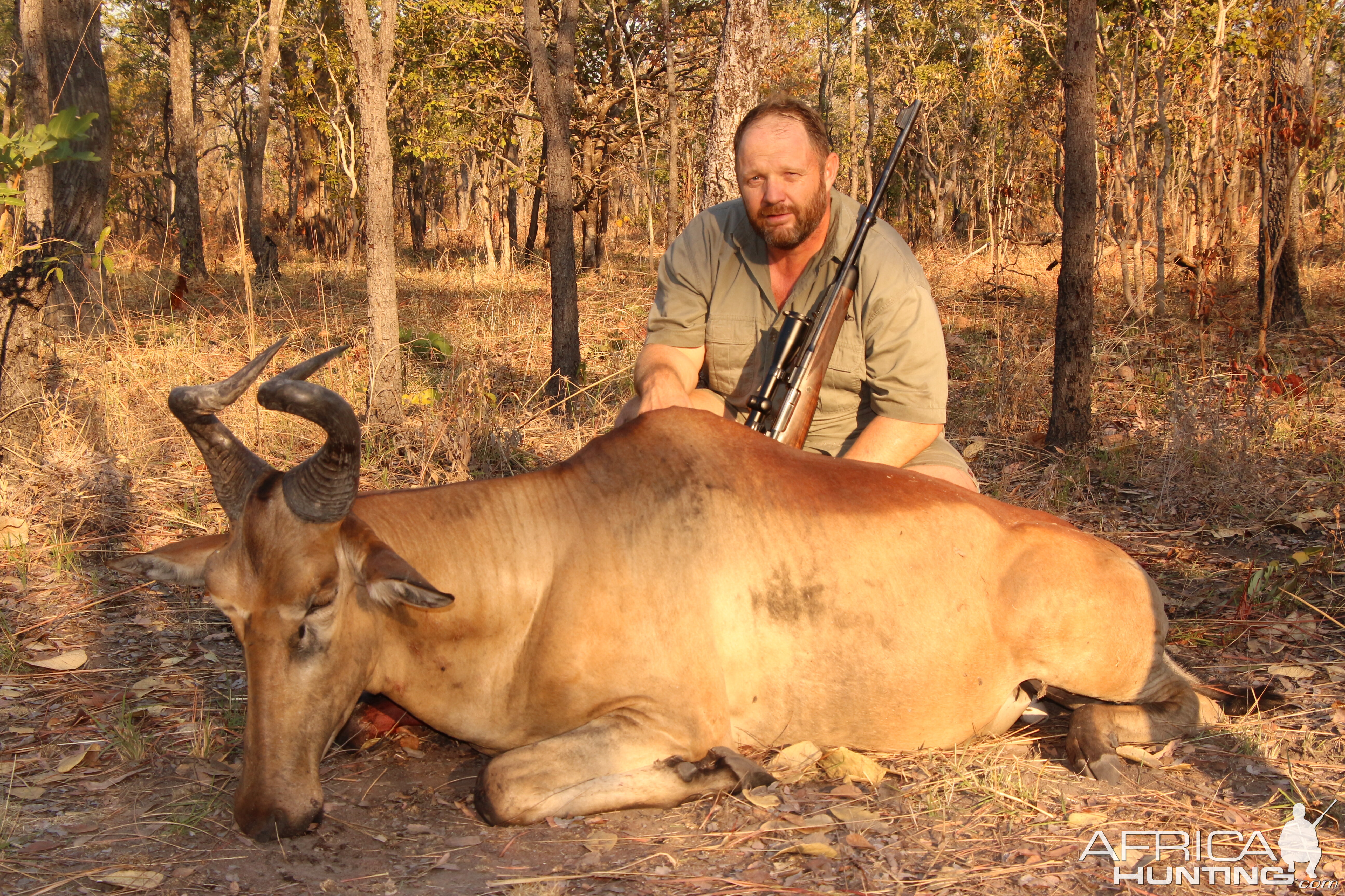 Hunting Lichtenstein Hartebeest in Tanzania