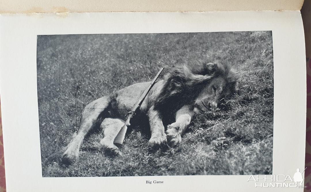 Hunting Lion from the book African Hunter by Bror von Blixen-Finecke