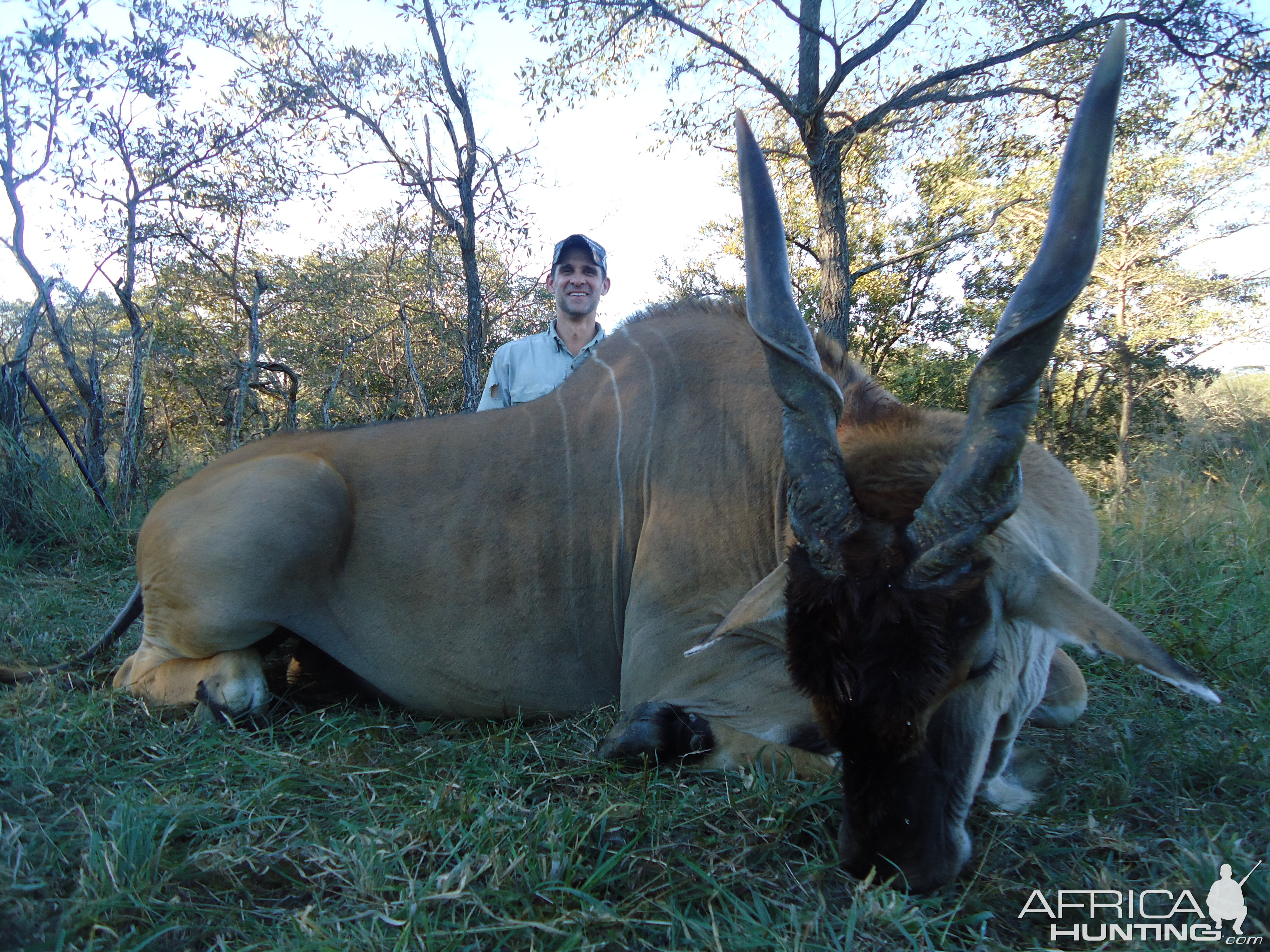 Hunting Livingstone Eland